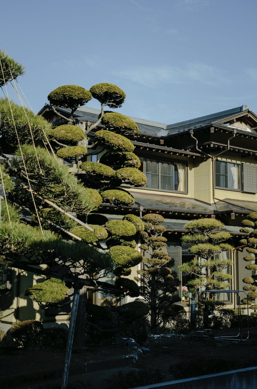 Превью Fuji 2024